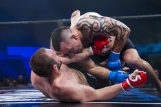 Teo Radnić, Pit Bull Split